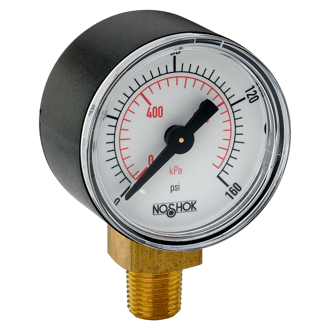 15-100-160-psi/kPa 100 Series ABS and Steel Case Dry Pressure Gauges