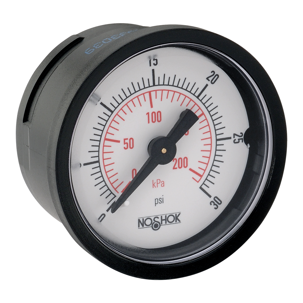 15-110-30-psi/kPa 100 Series ABS and Steel Case Dry Pressure Gauges