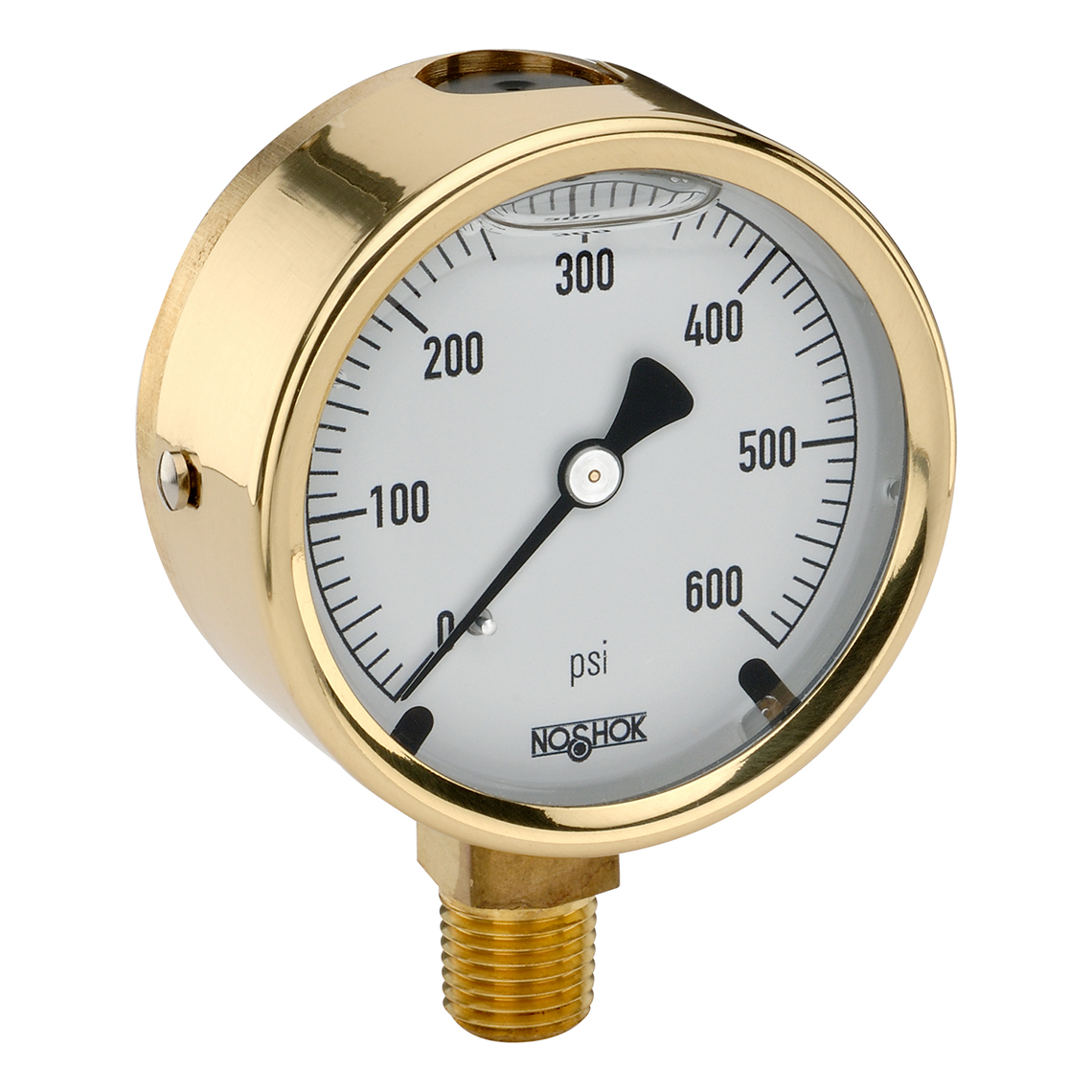 25-300-30-psi/kPa 300 Series Brass Case Liquid Filled Pressure Gauges