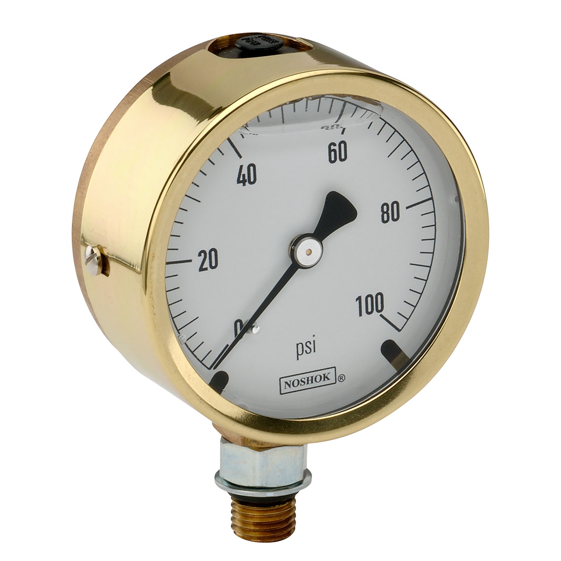 25-300-SST-600-psi/kg/cm2 300 Series Brass Case Liquid Filled Pressure Gauges