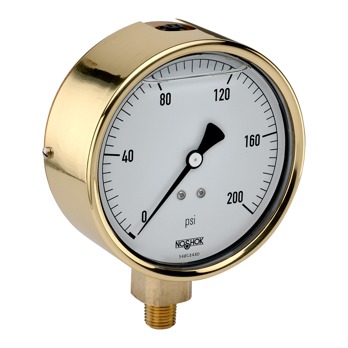 40-300-100-psi/kg/cm2 300 Series Brass Case Liquid Filled Pressure Gauges
